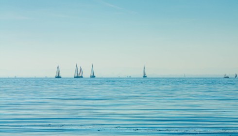 pexels-irene-lasus-88517